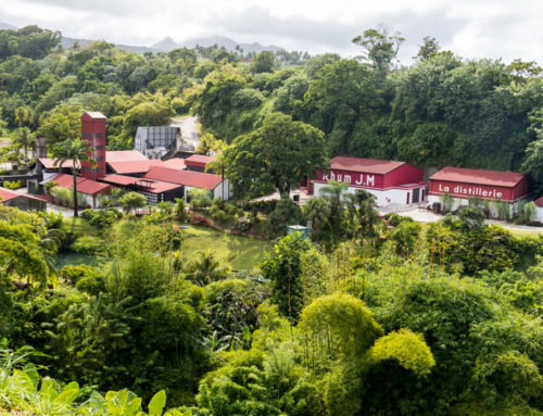 La Martinique et le rhum agricole